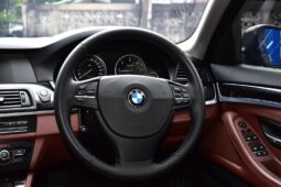 
										BMW 520d (F10) 2012 full									